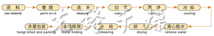 DWC係列脫水（shuǐ）蔬菜帶式幹燥機工藝流程圖